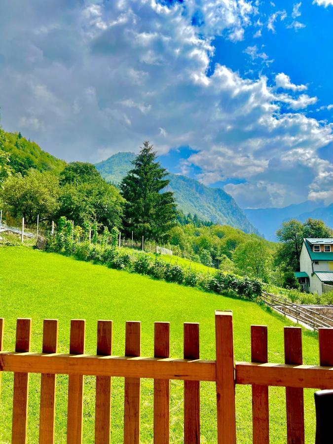 Villa Dardania Печ Екстер'єр фото