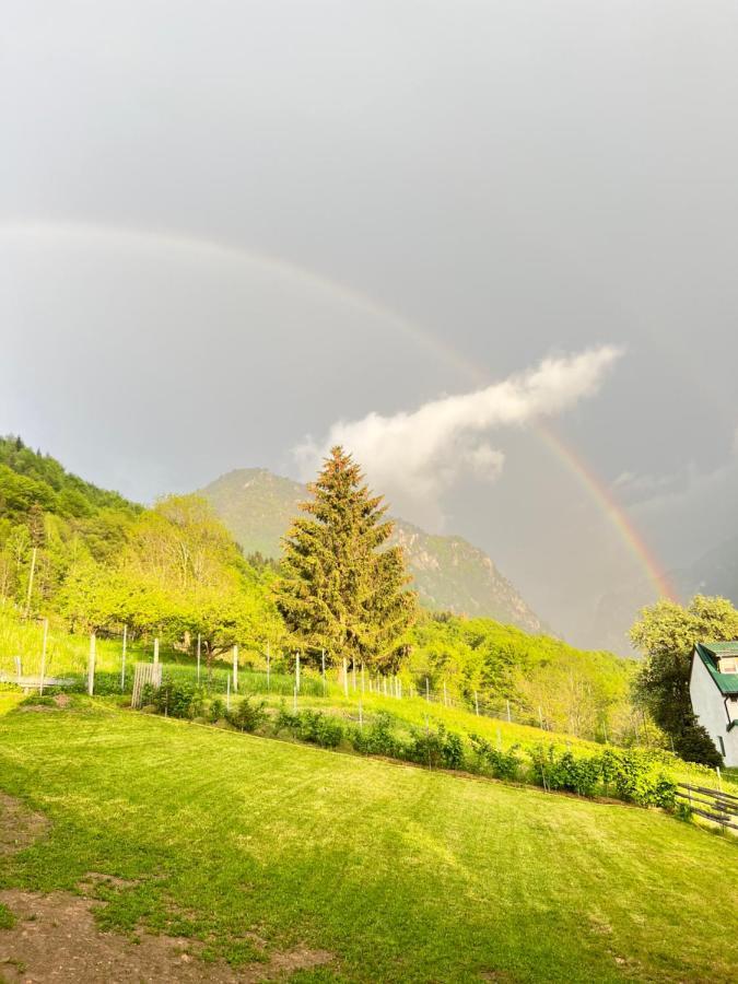 Villa Dardania Печ Екстер'єр фото